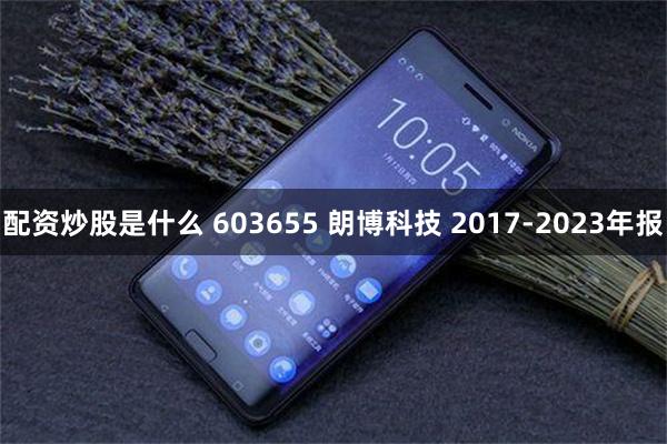 配资炒股是什么 603655 朗博科技 2017-2023年报