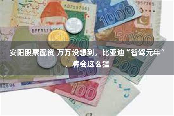 安阳股票配资 万万没想到，比亚迪“智驾元年”，将会这么猛