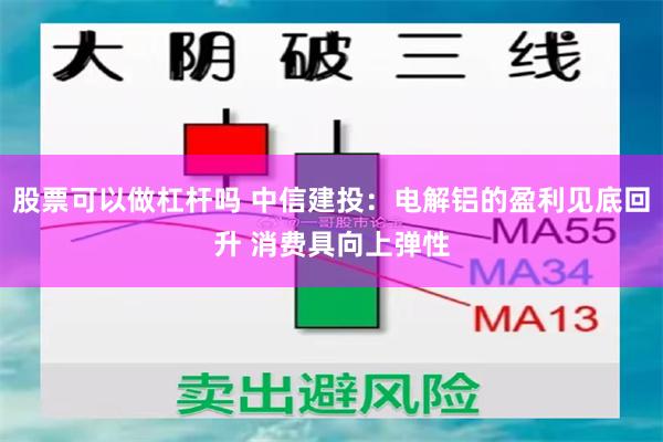 股票可以做杠杆吗 中信建投：电解铝的盈利见底回升 消费具向上弹性