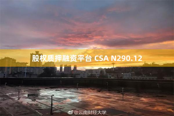 股权质押融资平台 CSA N290.12