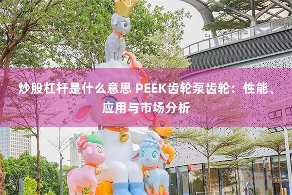 炒股杠杆是什么意思 PEEK齿轮泵齿轮：性能、应用与市场分析