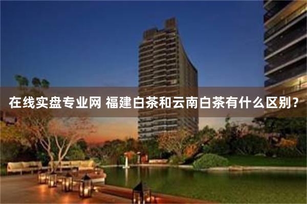 在线实盘专业网 福建白茶和云南白茶有什么区别？